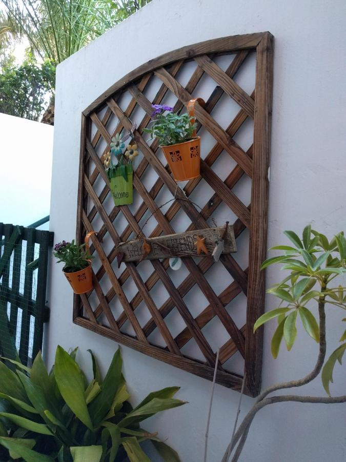 Cozy Apartment Ideally Located City Center And Megaron Moussikis Metro Station Αθήνα Εξωτερικό φωτογραφία