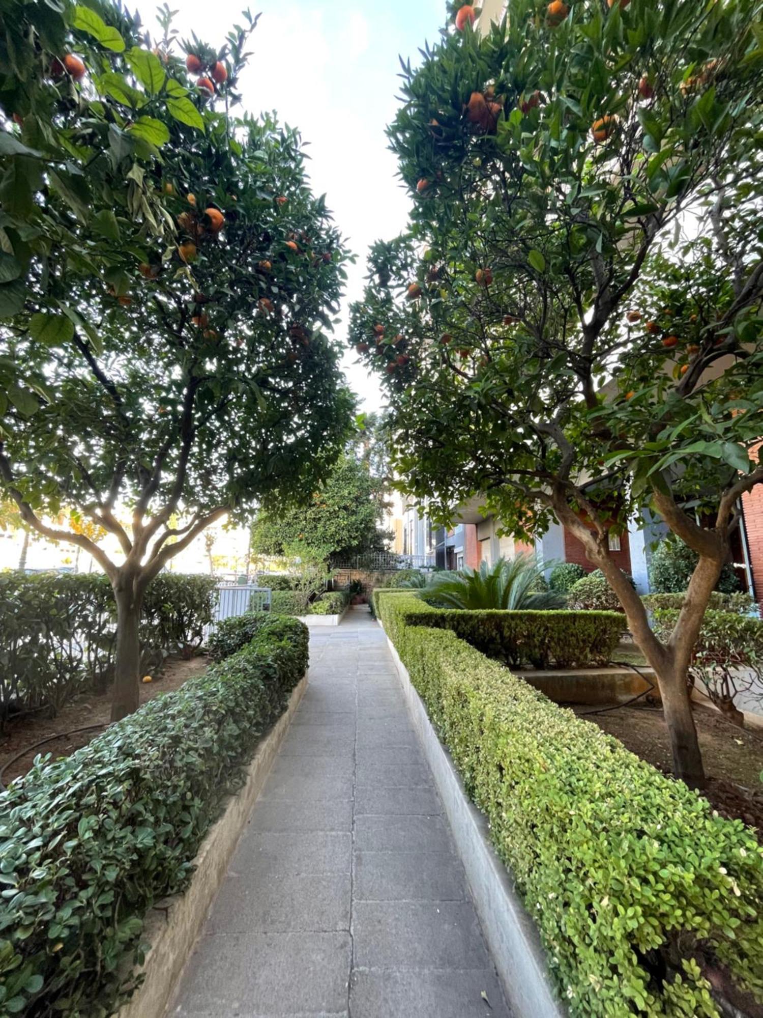 Cozy Apartment Ideally Located City Center And Megaron Moussikis Metro Station Αθήνα Εξωτερικό φωτογραφία