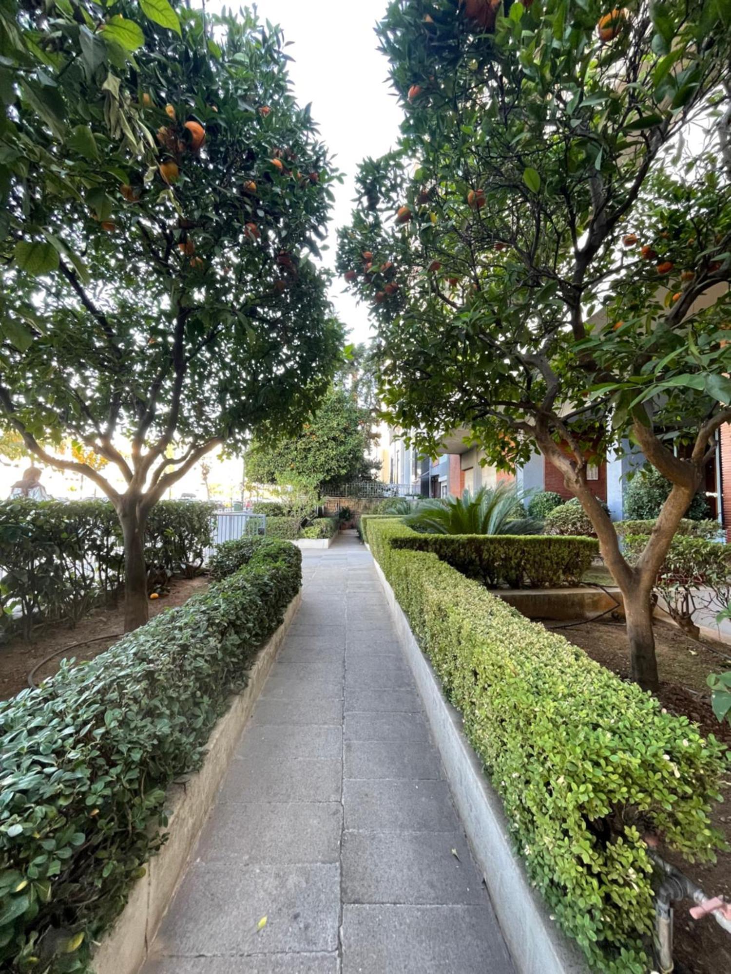 Cozy Apartment Ideally Located City Center And Megaron Moussikis Metro Station Αθήνα Εξωτερικό φωτογραφία